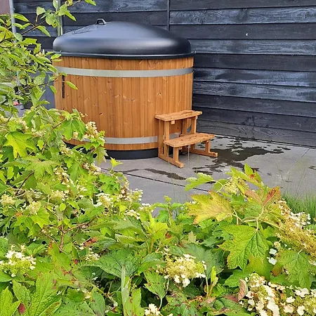 Wood * Elsendorp